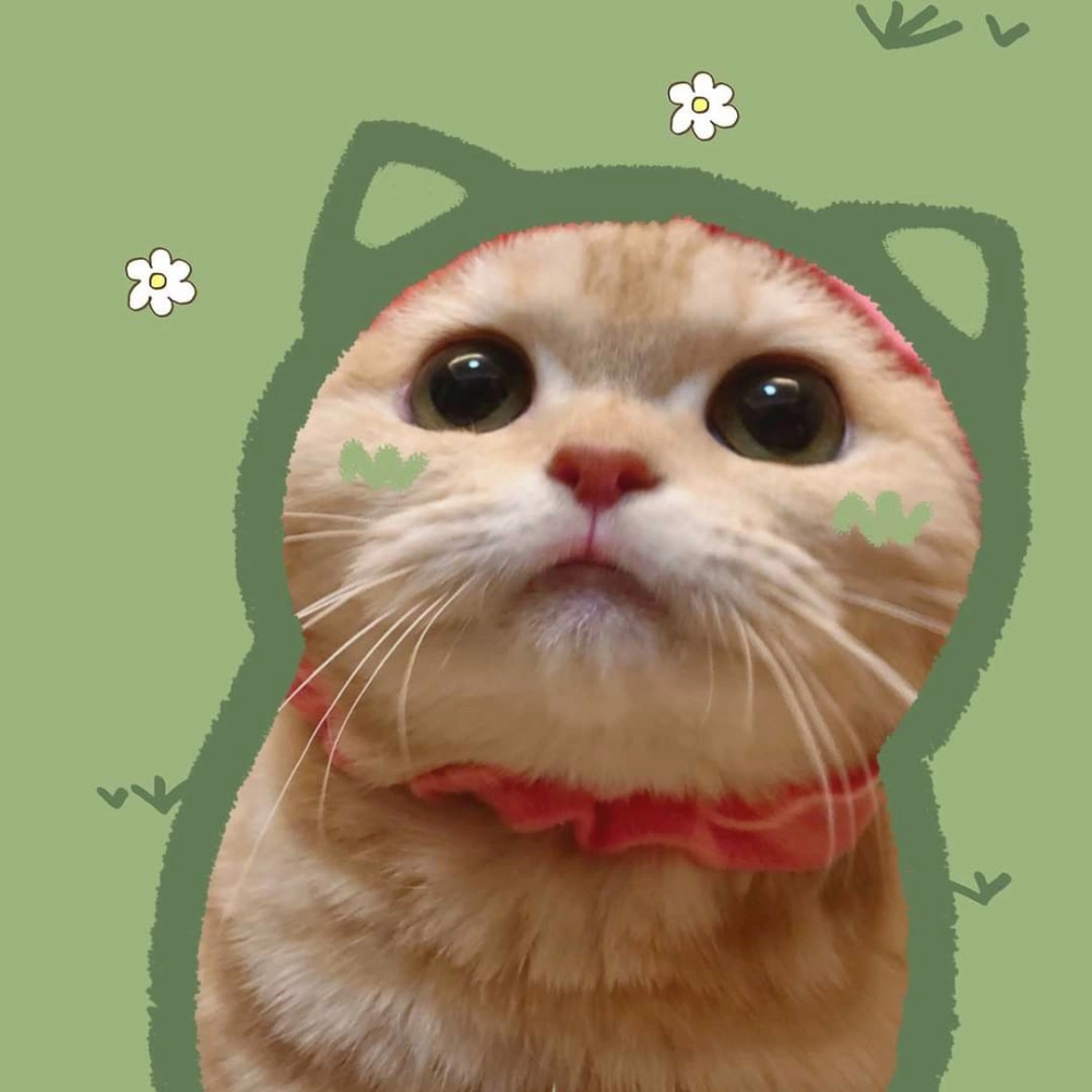 Tâm trạng cùng avatar mèo buồn