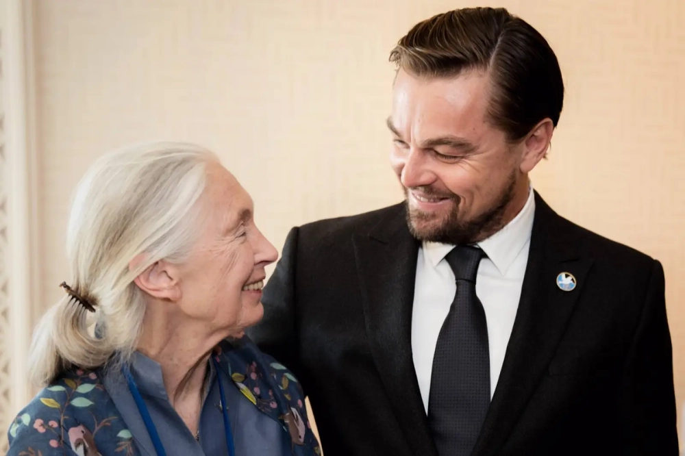 Tài tử Leonardo DiCaprio