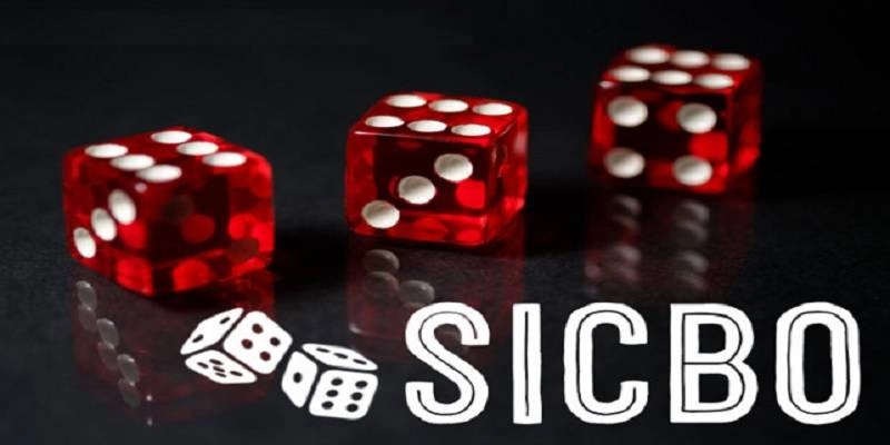 Quan sát lịch sử ván cược