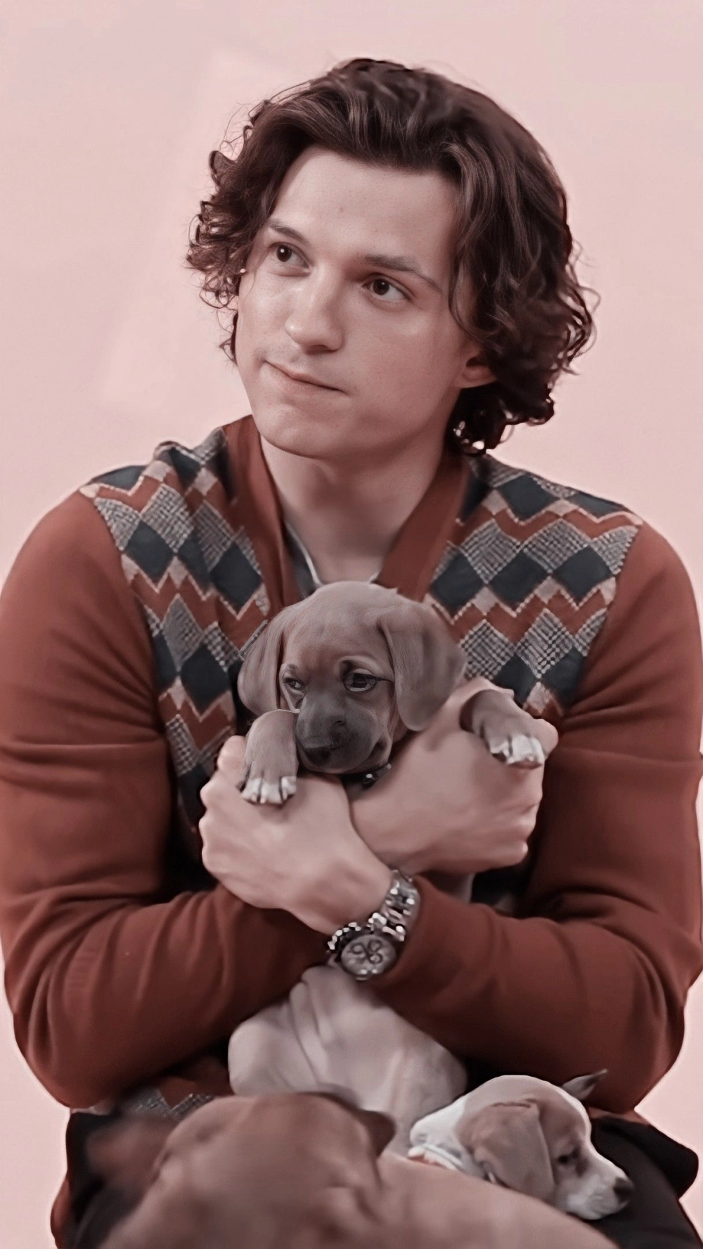 Tìm hiểu về chiều cao của Tom Holland