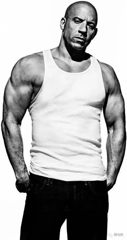 Nguồn gốc của vin diesel family meme