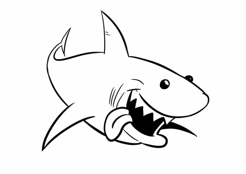 Tranh tô màu hình con cá mập con cá mập dễ thương nét vẽ cuốn hút