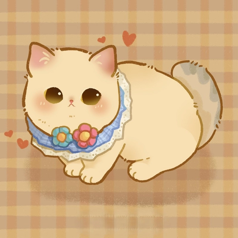 Cute hình nền mèo chibi dễ thương ngọt ngào quyến rũ cuốn hút mê mẩn