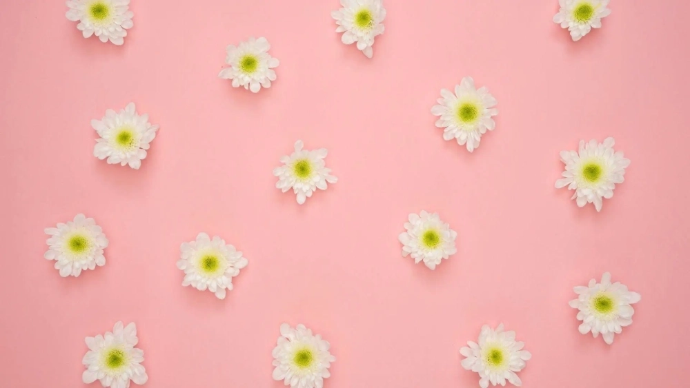 Hình nền màu hồng cute nhẹ nhàng xinh xắn