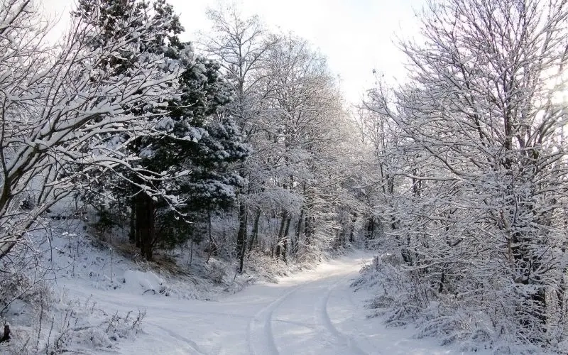 Phong cảnh mùa đông tuyết trắng lãng mạn quyến rũ cuốn hút mê mẩn