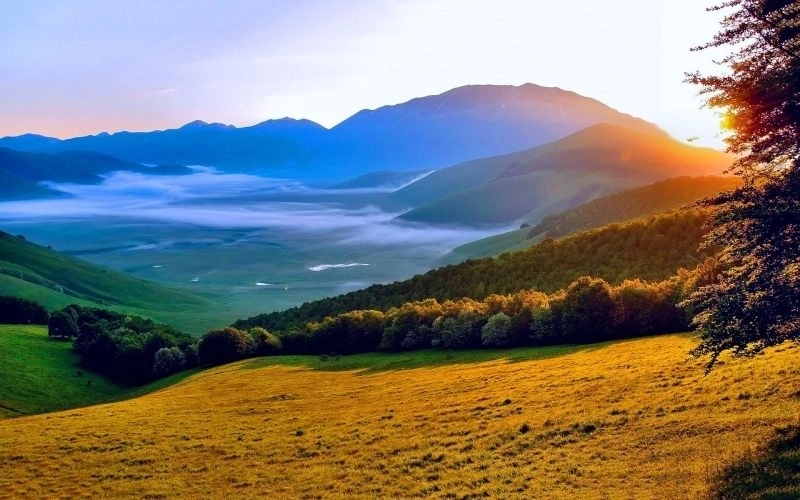 Tranh sơn dầu rừng cây sơn dầu rừng cây quyến rũ cuốn hút