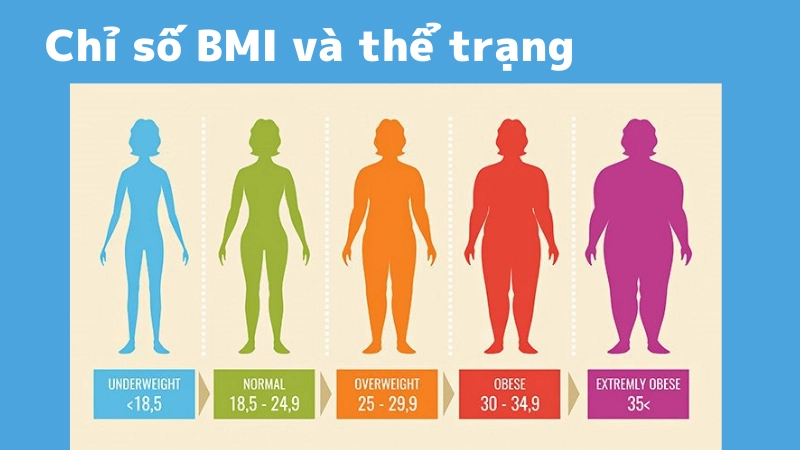 Ý nghĩa của chỉ số BMI đối với sức khỏe vóc dáng