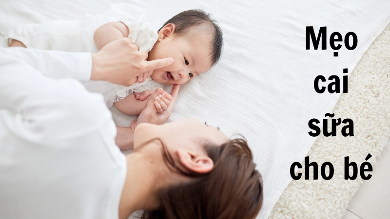 Chọn thời điểm 