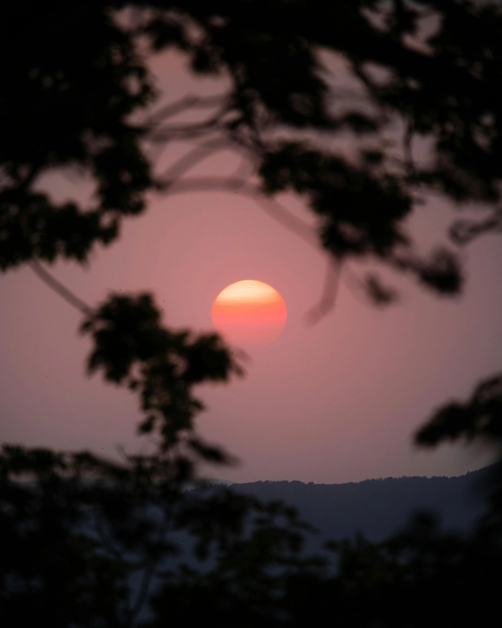 Khoảnh khắc cuối ngày lãng mạn hiện rõ qua bộ sưu tập hình nền hoàng hôn.