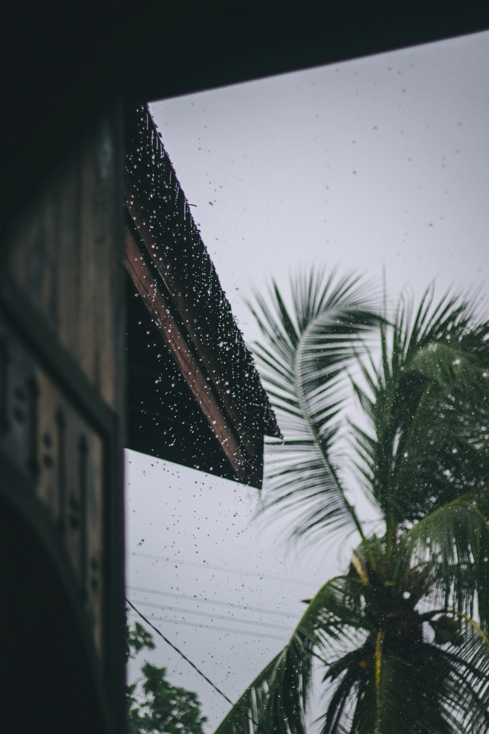 Hình nền mưa cực ngầu và đẳng cấp nhất trên màn hình