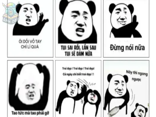 Bộ sưu tập meme nổi tiếng - Những hình ảnh hài hước nhất