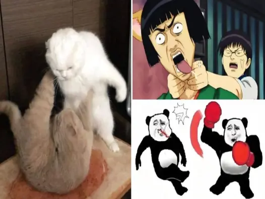 Tổng hợp ảnh meme đấm hài hước không thể nhịn cười