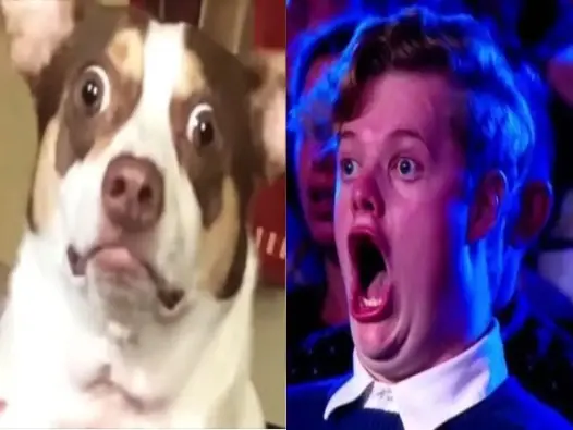 Tổng hợp ảnh meme sốc cực gắt khiến cộng đồng mạng bùng nổ