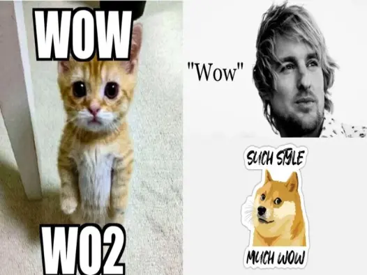 Loạt ảnh meme wow khiến người xem chỉ biết thốt lên wow