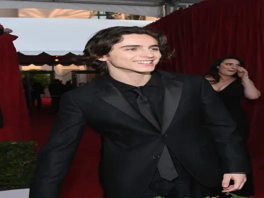 Top 30+ hình ảnh Timothée Chalamet và sự nghiệp rực rỡ