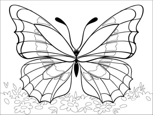 Bé tô màu con bướm ấn tượng giúp trẻ phát triển sáng tạo