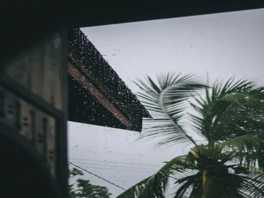 Hình nền mưa cực ngầu và đẳng cấp nhất trên màn hình