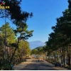 Biển Hồ T'nưng Gia Lai: Đôi mắt xanh giữa đại ngàn