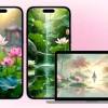 Khám phá vẻ đẹp huyền bí của hình ảnh hoa sen màu đen