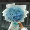 Khám Phá Vẻ Đẹp Mê Hoặc Của Hoa Baby Hồng