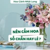 Nên cắm hoa số chẵn hay lẻ: Giải đáp chuẩn phong thủy