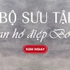 Shop hoa lan hồ điệp TP.HCM: Hướng dẫn chọn và chăm sóc