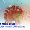 Suy giảm miễn dịch ở người lớn: Nguyên nhân, dấu hiệu và cách tăng cường đề kháng