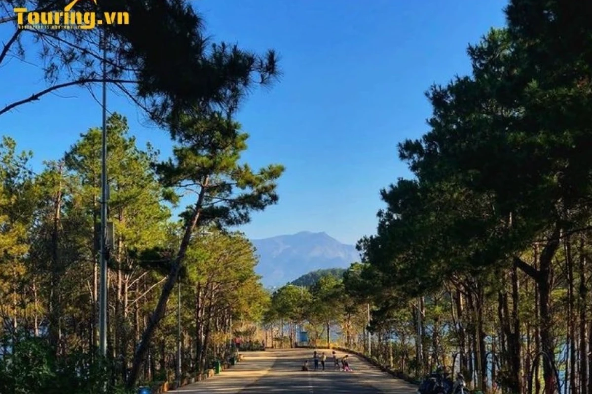 Biển Hồ T'nưng Gia Lai: Đôi mắt xanh giữa đại ngàn