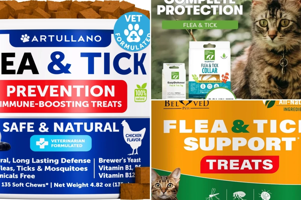 Effective natural flea and tick prevention for cats in 2026