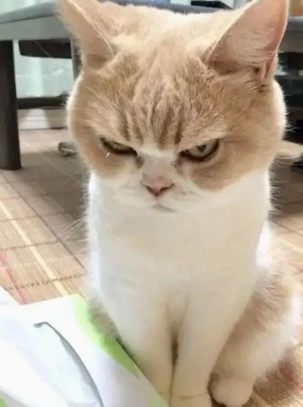 101+ Ảnh Meme Dỗi Hờn Cute, Biểu Cảm "Tủi Thân" Độc Đáo Nhất 2026