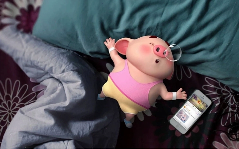 Ảnh con lợn cute trong tư thế ngộ nghĩnh