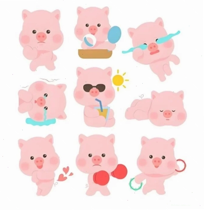 Ảnh heo cute chibi đang ngủ say giấc