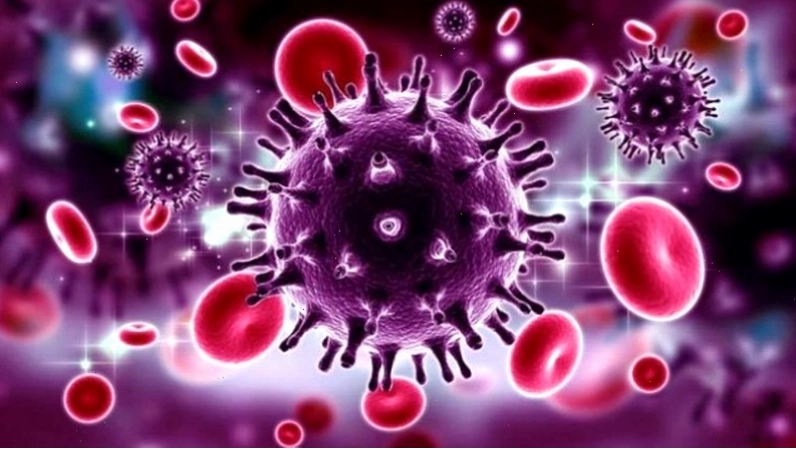 Ảnh hưởng của các bệnh nhiễm trùng cơ hội đến người nhiễm HIV