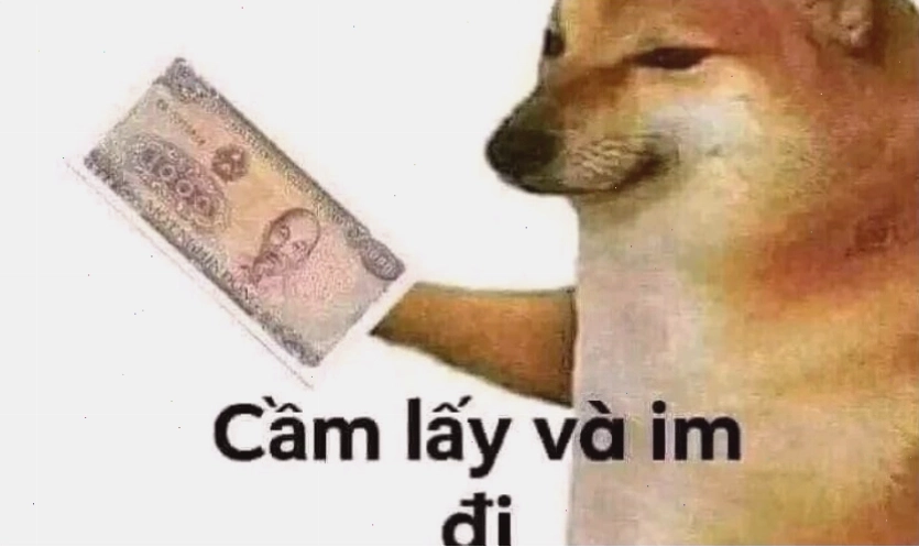 Ảnh meme chó với biểu cảm khó đỡ
