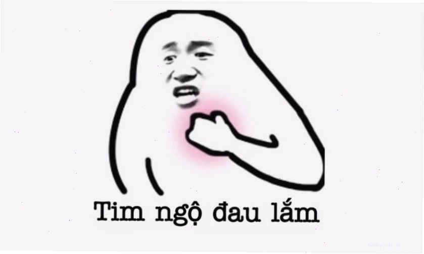 Ảnh meme hài bựa với biểu cảm ngộ nghĩnh