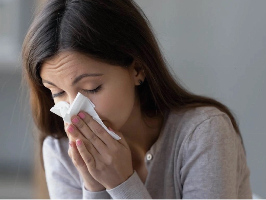 Bài thuốc từ cây cỏ xước có tác dụng chữa sổ mũi và các triệu chứng cảm lạnh