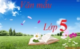 Bài văn tả cảnh biển Mỹ Khê lớp 5: Vẻ đẹp tuyệt mỹ