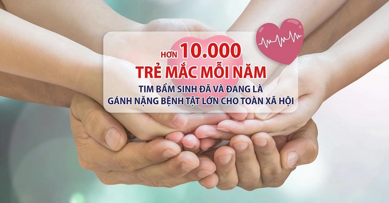 Bệnh Tim Bẩm Sinh Là Gì? Nguyên Nhân, Dấu Hiệu Nhận Biết và Cách Điều Trị