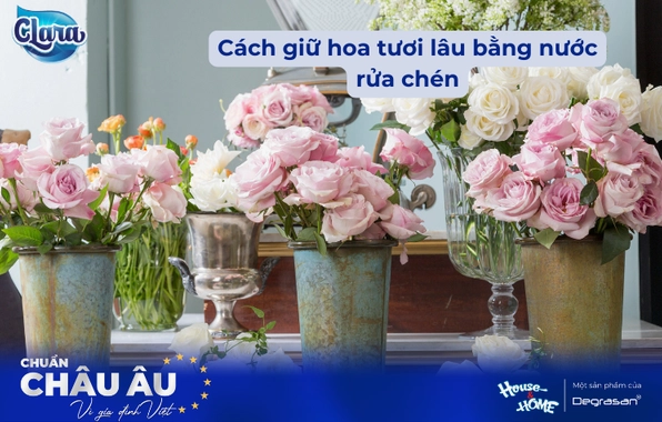 Bí Quyết Đơn Giản: Cách Bỏ Đường Vào Nước Cắm Hoa Giúp Hoa Tươi Lâu Bất Ngờ