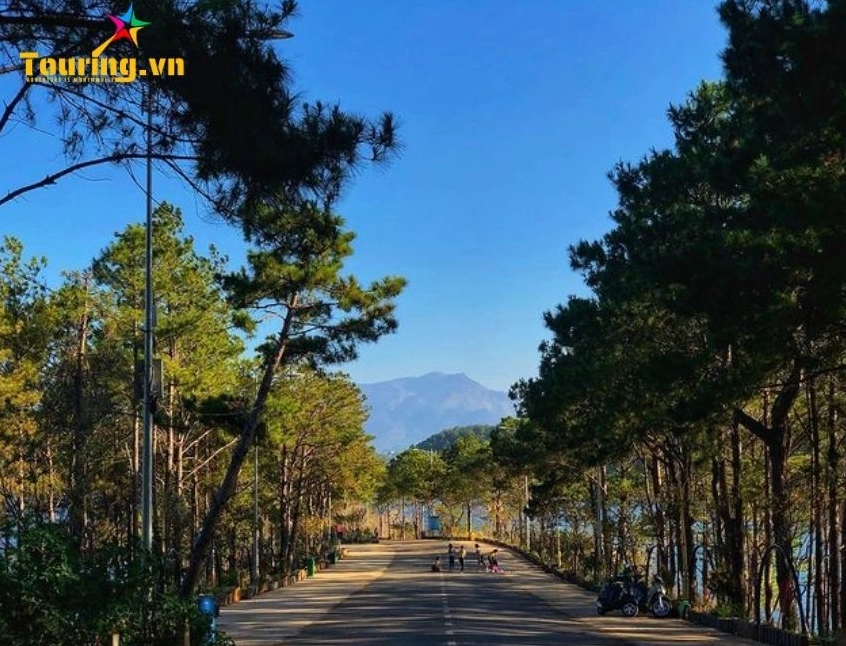 Biển Hồ T'nưng Gia Lai: Đôi mắt xanh giữa đại ngàn