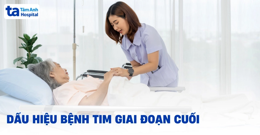 Biểu hiện bệnh tim giai đoạn cuối: Nhận biết sớm dấu hiệu và cách chăm sóc