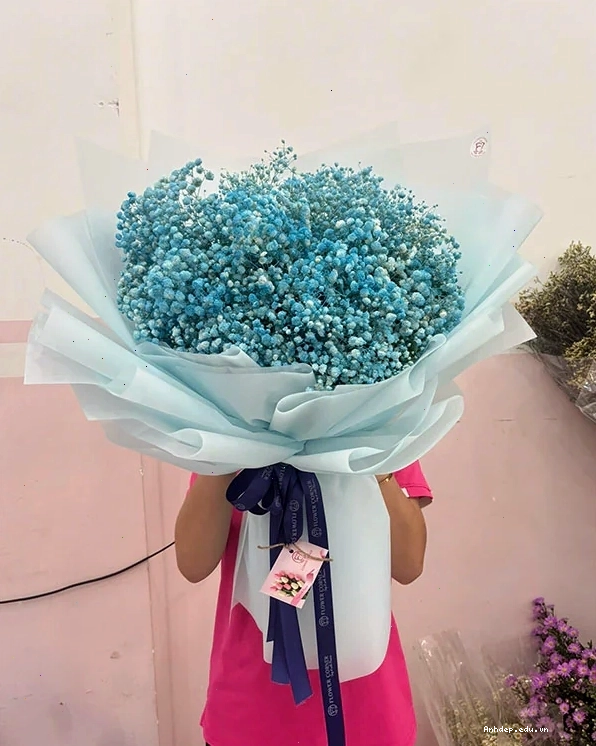 Bó hoa baby Sương Mai