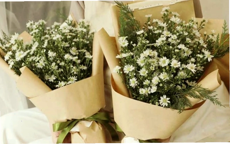 Bó hoa thạch thảo trắng