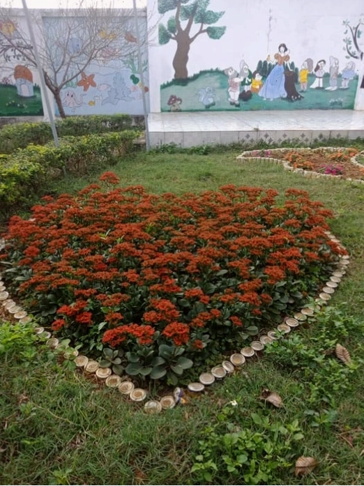 Bỏng ta trồng trang trí khuôn viên trường học