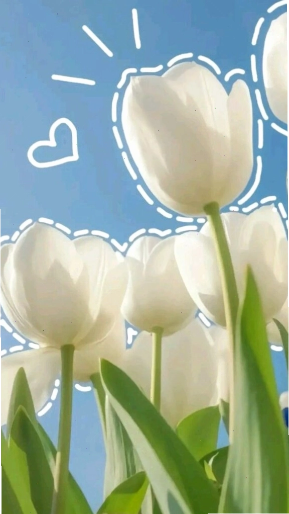 Bức ảnh chụp cận cảnh hoa tulip xanh với những giọt sương mai