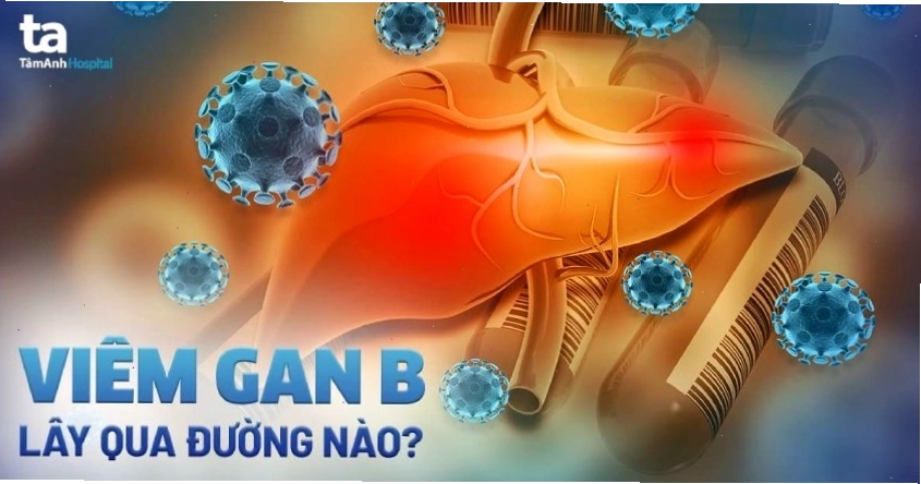 Các đường lây truyền viêm gan B