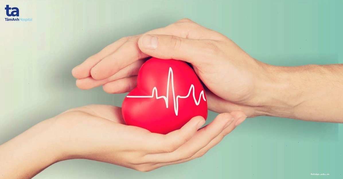 Các thói quen có hại cho sức khỏe tim mạch cần tránh