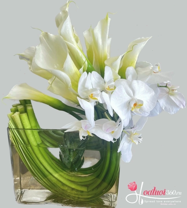 Cách cắm hoa rum tươi lâu theo phong cách uốn lượn