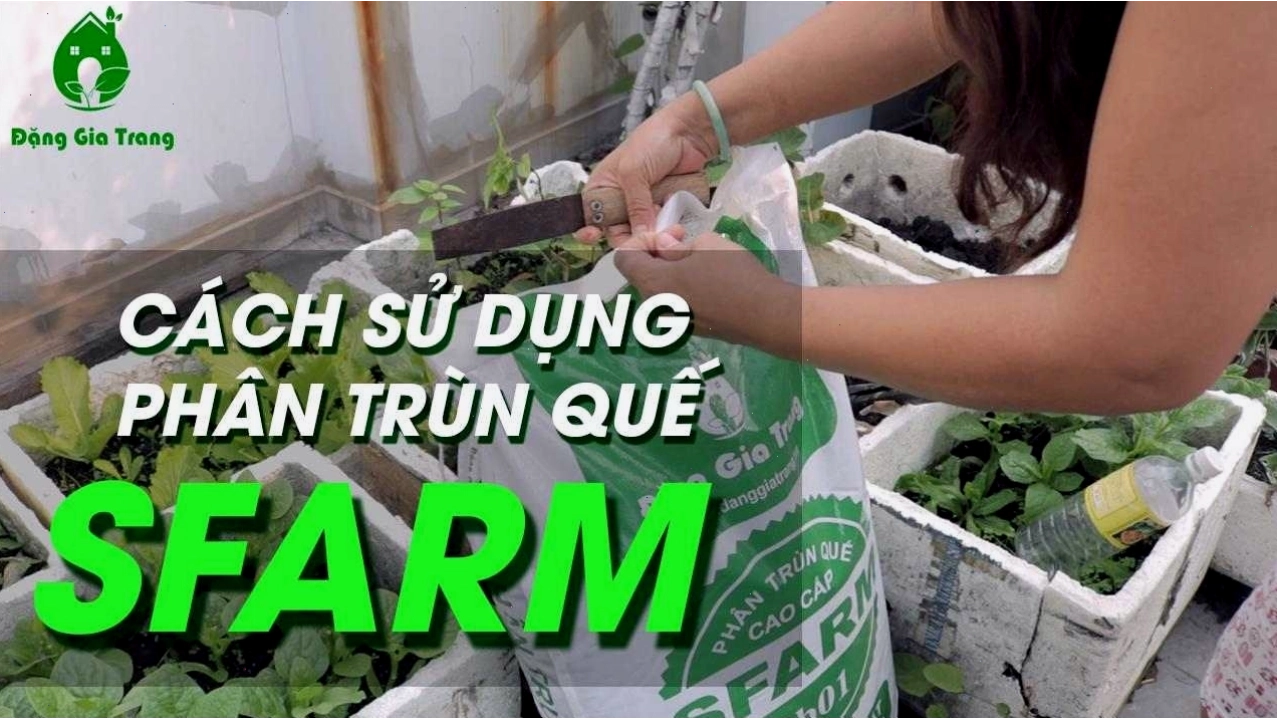 Cách sử dụng phân trùn quế cho cây trồng