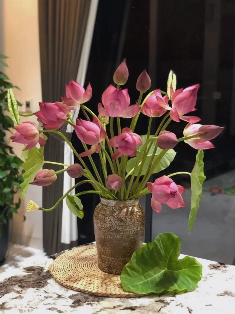 cắm hoa sen tỏa đều bó lớn